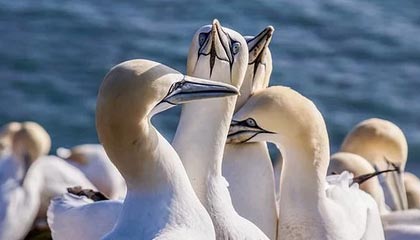 开云·Kaiyun网页版-中国跳水队首次包揽全部金牌，中国跳水队首次包揽全部金牌的是谁