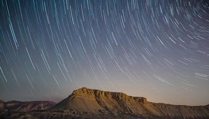 开云官方-格林伍德：袋鼠队防守核心，展现出超强球场控制力，格林伍德打什么位置