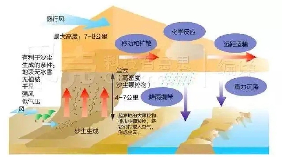 包含夺冠热点盘点：东部与西部谁更具优势？的词条