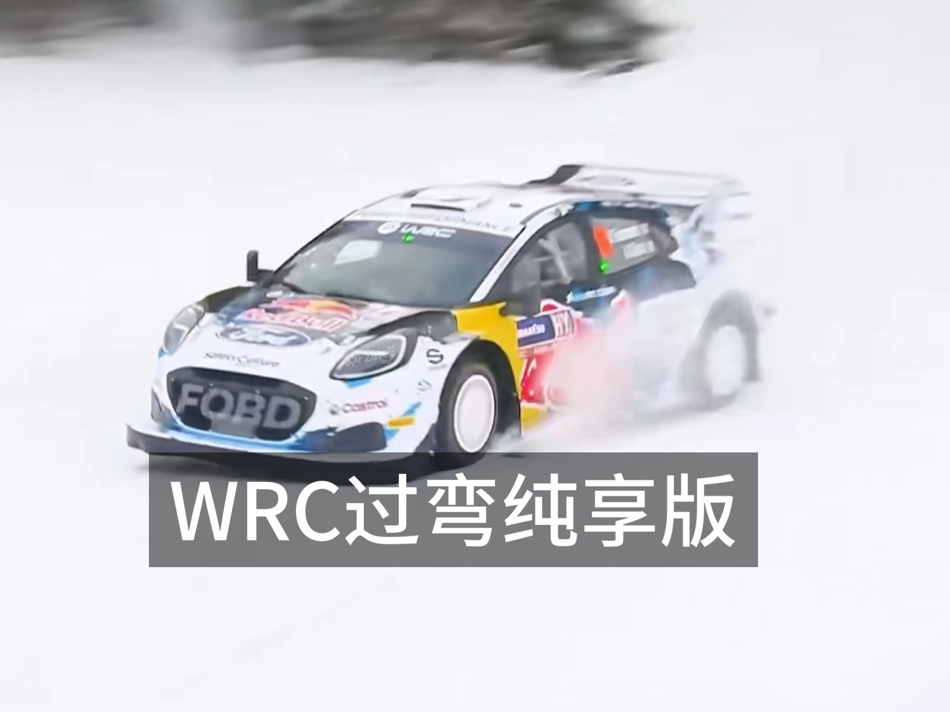 包含高速与极限：WRC每一圈的激烈角逐的词条