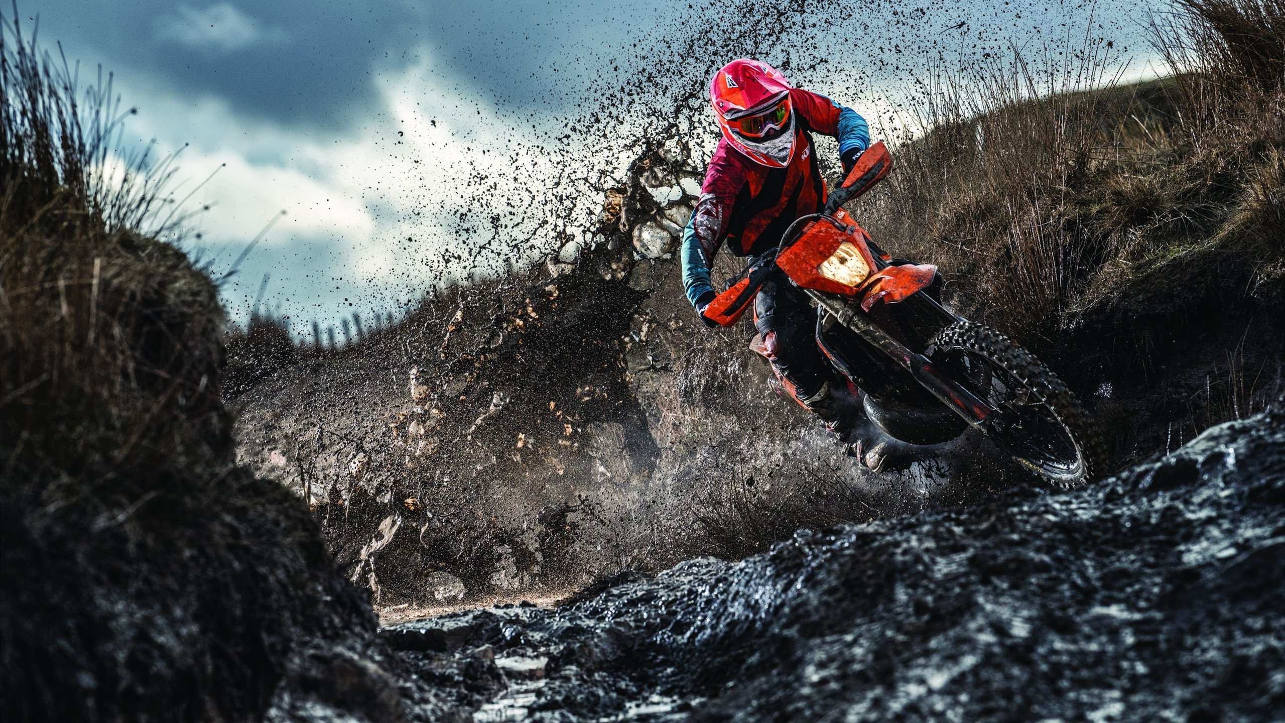 开云kaiyun-唐纳德·高尔的攻防转换高效，带领袋鼠队重夺比赛主导权，唐纳德古尔德