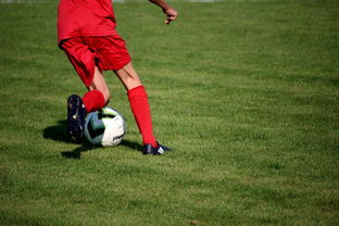 Kaiyun(中国)开云-足球场馆数字化管理平台正式上线，提升运营效率，足球场管理系统app