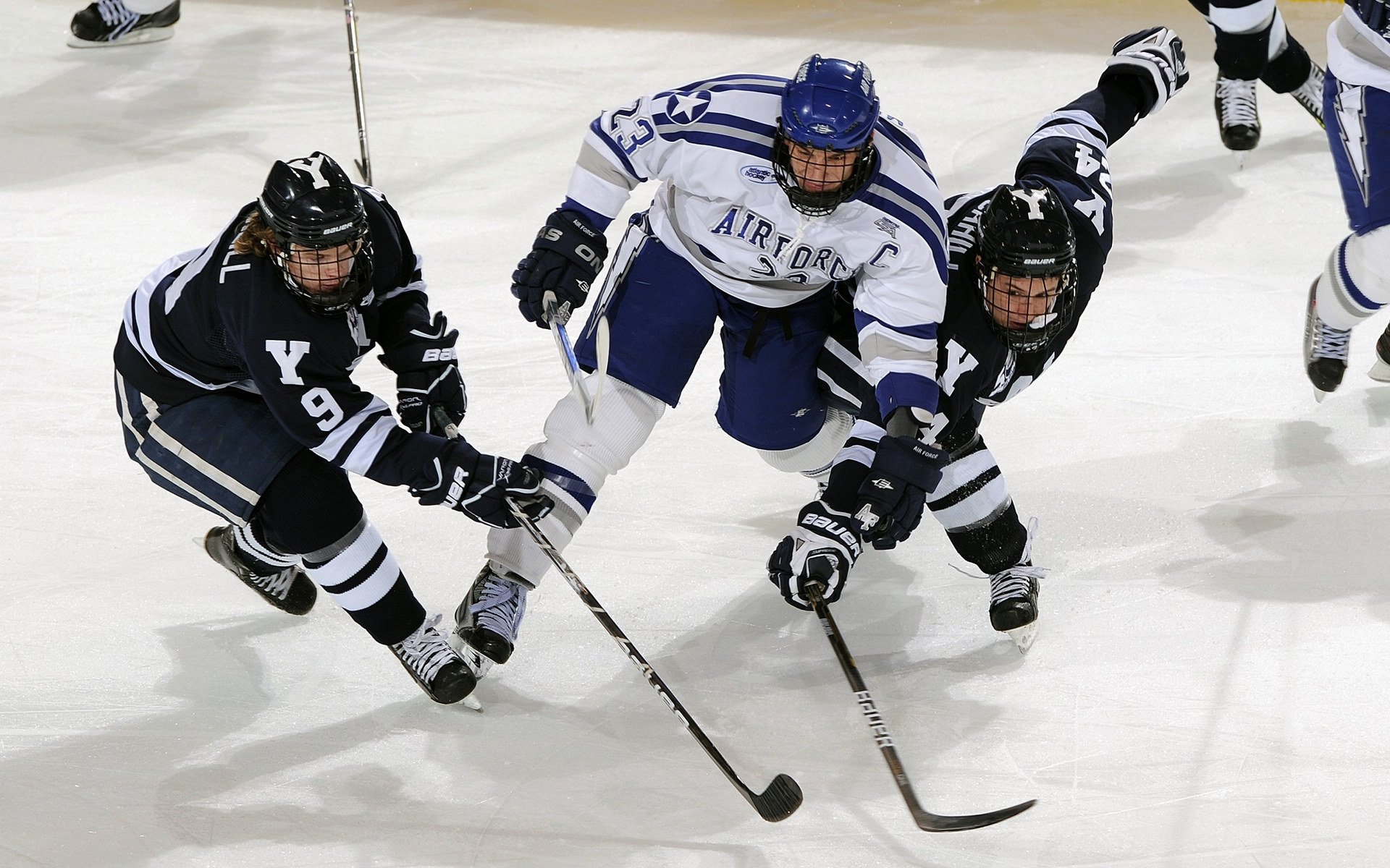 传统民俗“斗牛”比赛，文化底蕴里的竞技热潮，斗牛比赛全过程